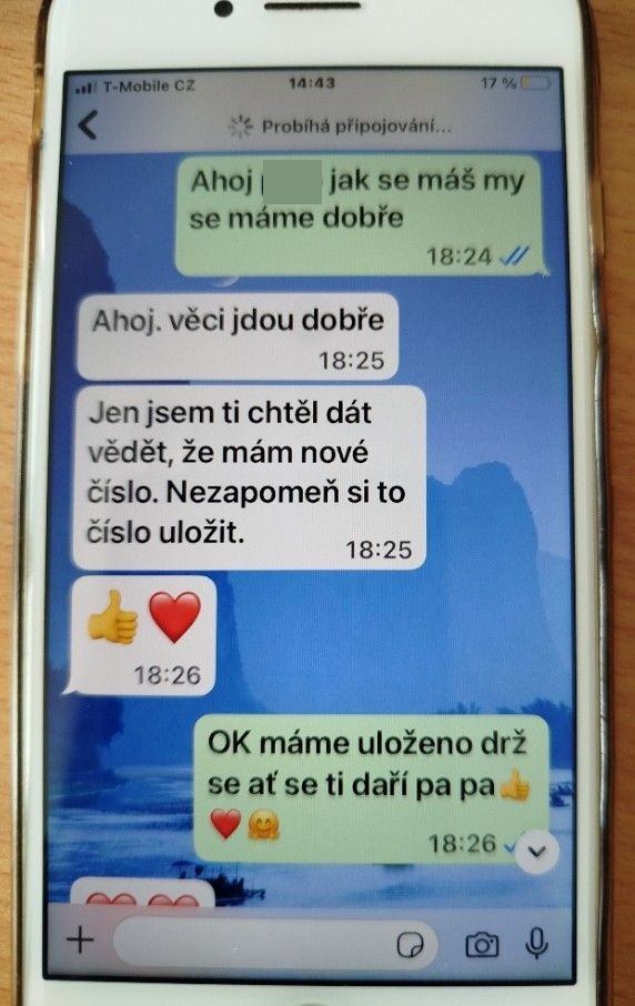 Falešný syn_1.jpg