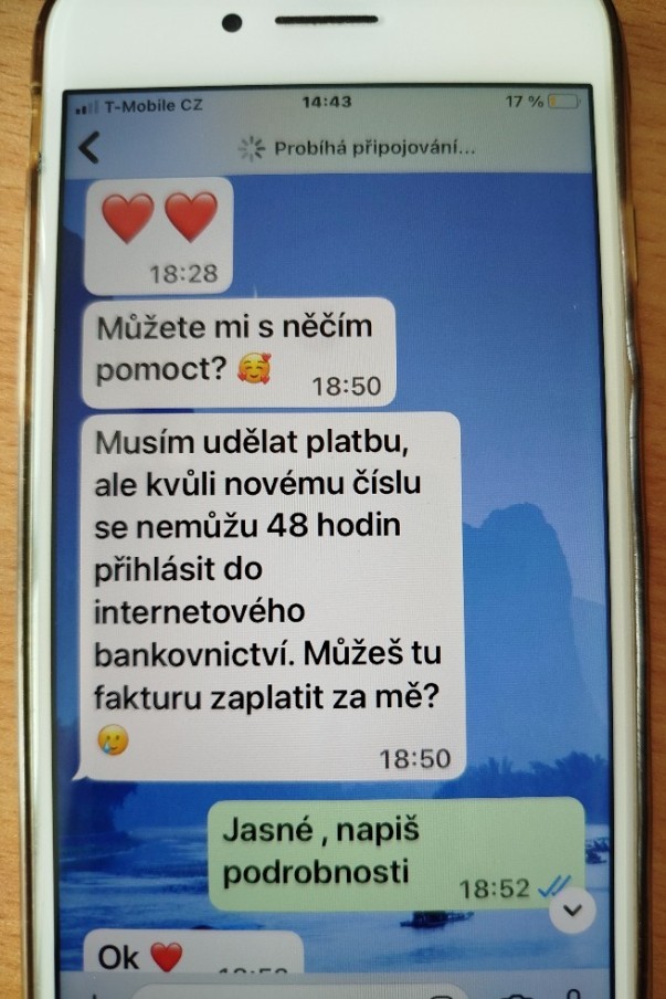 Falešný syn_2.jpg