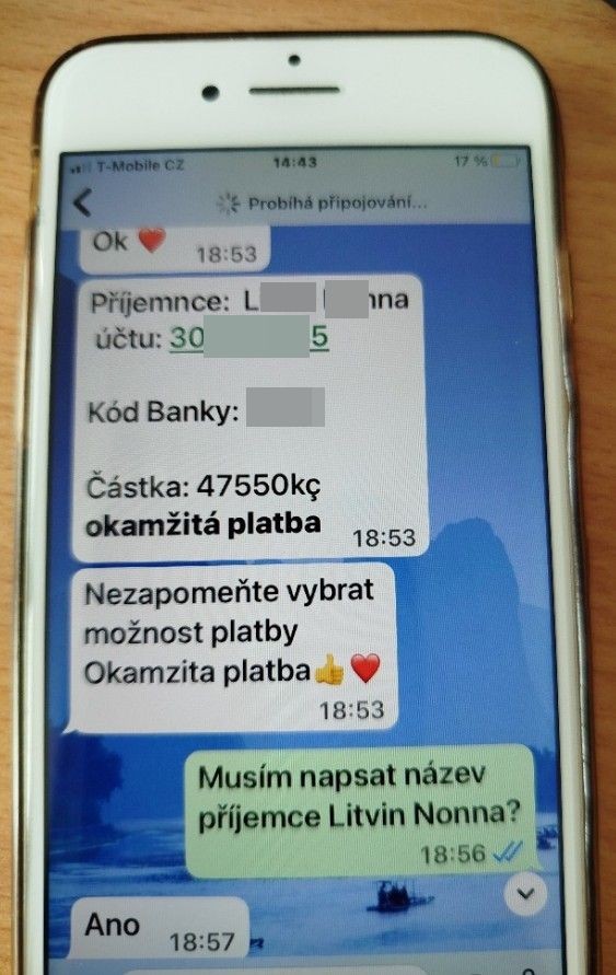Falešný syn_6.jpg