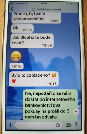 Falešný syn_4.jpg